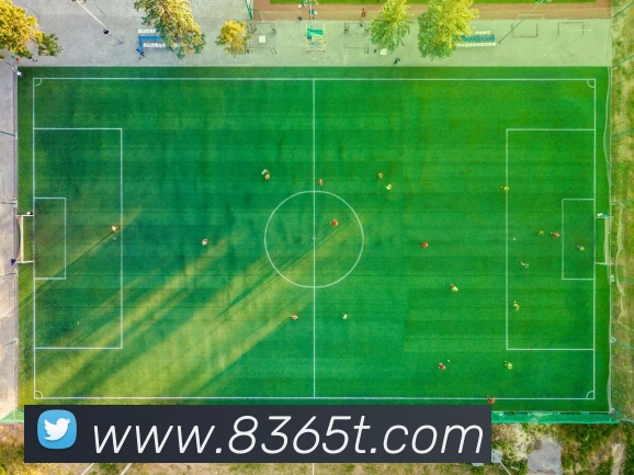 bet365平台生态图